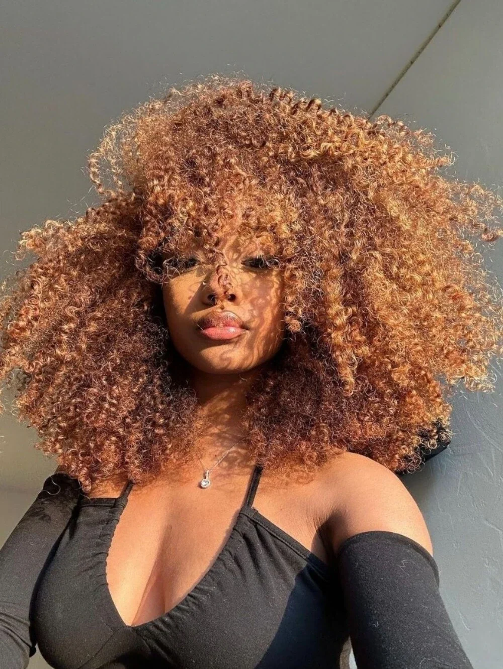 Premium Curly Afro Wig in Copper Brown - Women Hair